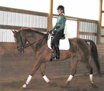 AT Tyler Thoroughbred