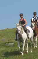 Jets Snow Girl - 2004 APHA Grey Overo Mare